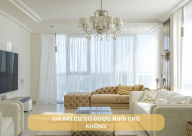 Chung cư có được nuôi chó không