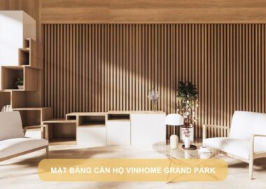 Mặt bằng căn hộ Vinhome Grand Park