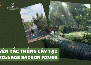 Nguyên tắc trồng cây tại Ecovillage Saigon River