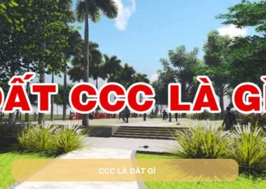 ccc là đất gì