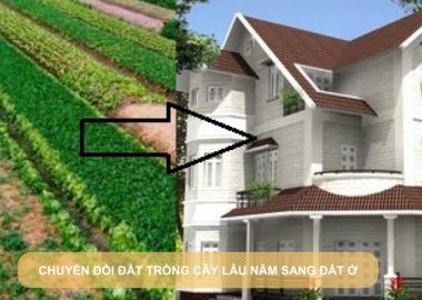 chuyển đổi đất trồng cây lâu năm sang đất ở