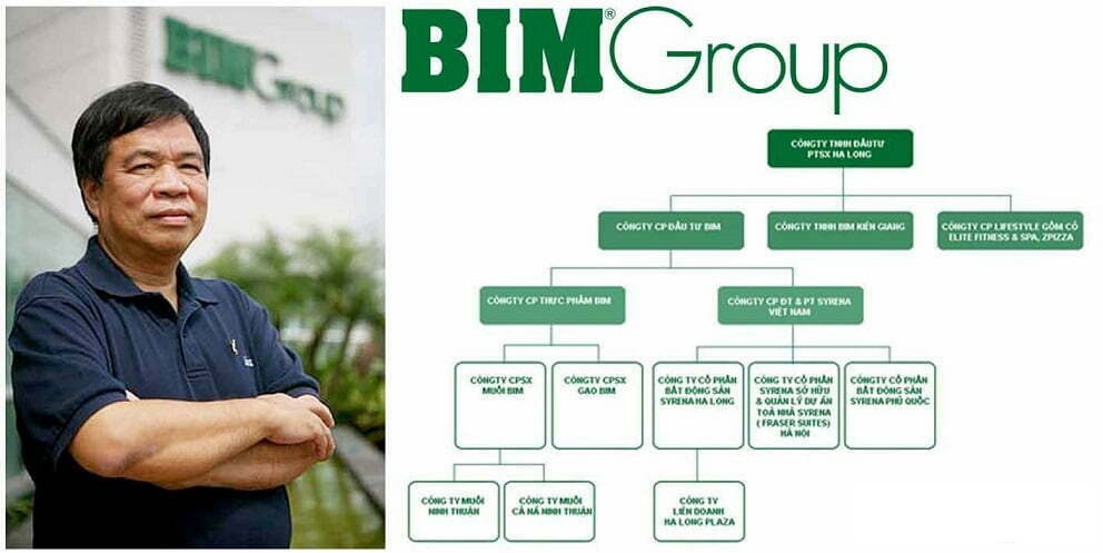 Ông Đoàn Quốc Việt - Chủ tịch BIM Group