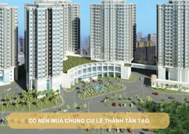 có nên mua chung cư lê thành tân tạo