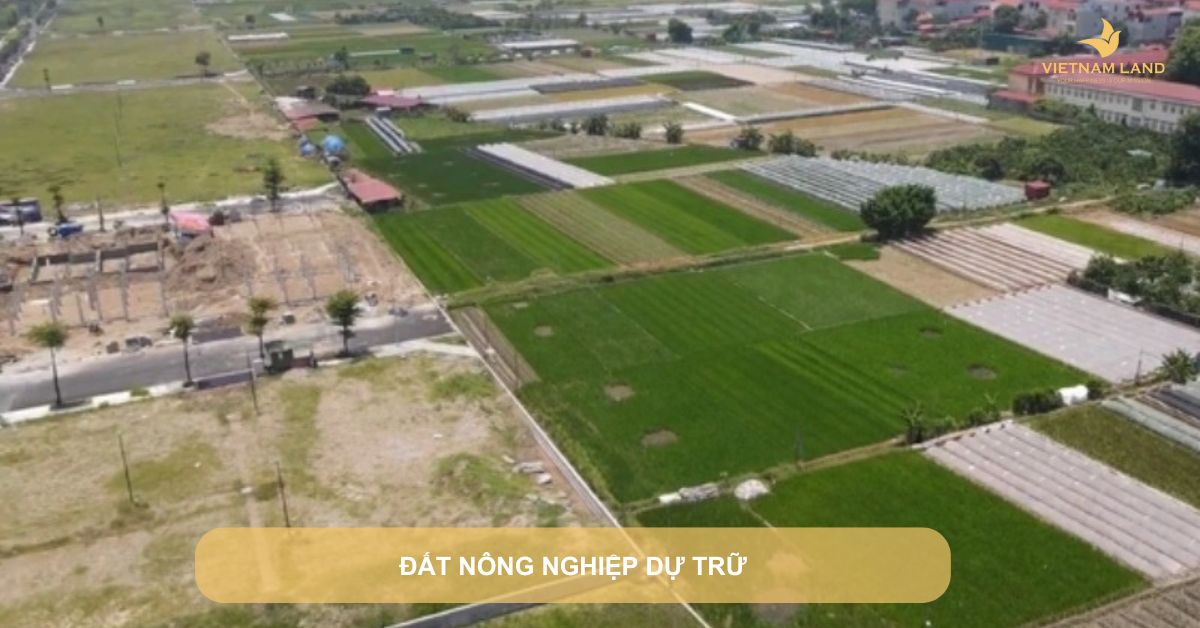 đất nông nghiệp dự trữ