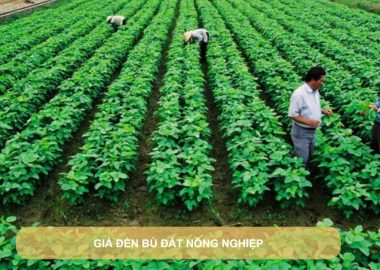 giá đền bù đất nông nghiệp