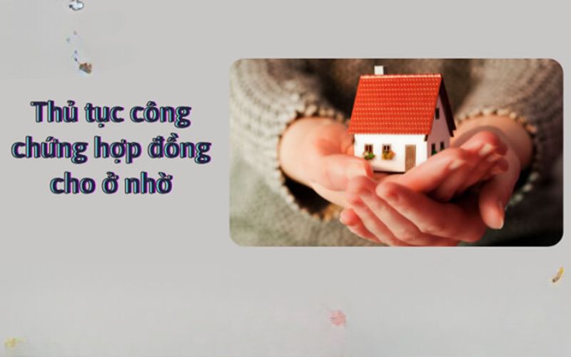 hợp đồng cho ở nhờ nhà 1