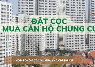 hợp đồng đặt cọc mua nhà chung cư