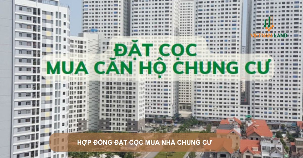 hợp đồng đặt cọc mua nhà chung cư