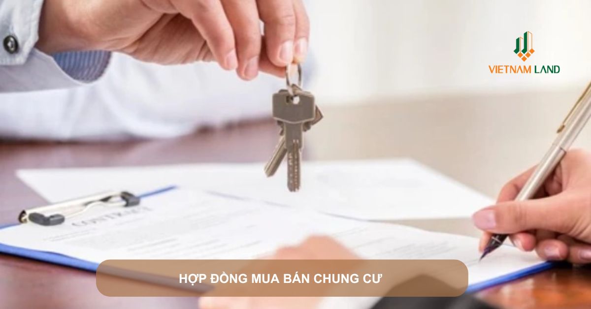 hợp đồng mua bán chung cư