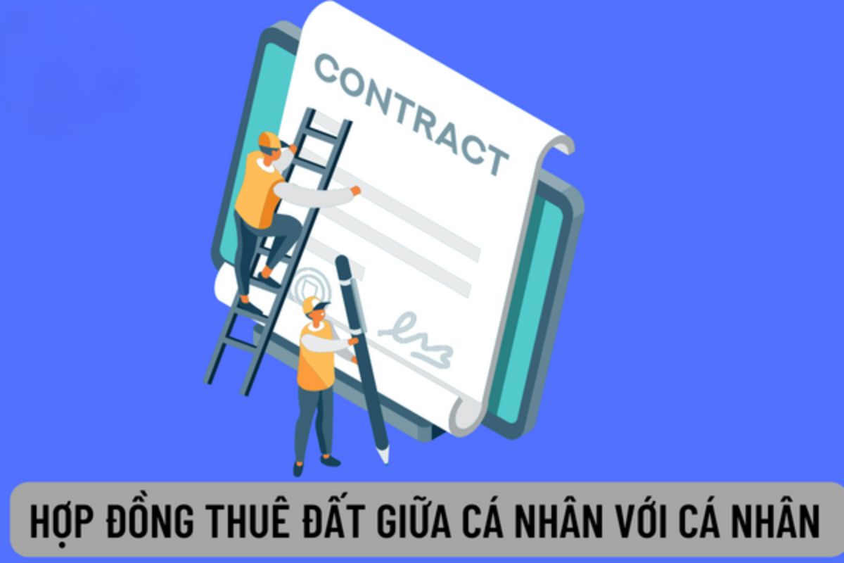 hợp đồng thuê đất cá nhân 1