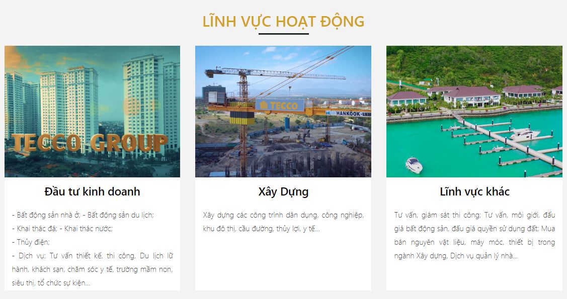 lĩnh vực hoạt động Chủ đầu tư TECCO