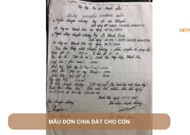 mẫu đơn chia đất cho con