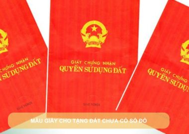 mẫu giấy cho tặng đất chưa có sổ đỏ