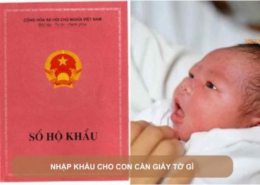 nhập khẩu cho con cần giấy tờ gì