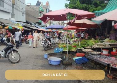 dch là đất gì